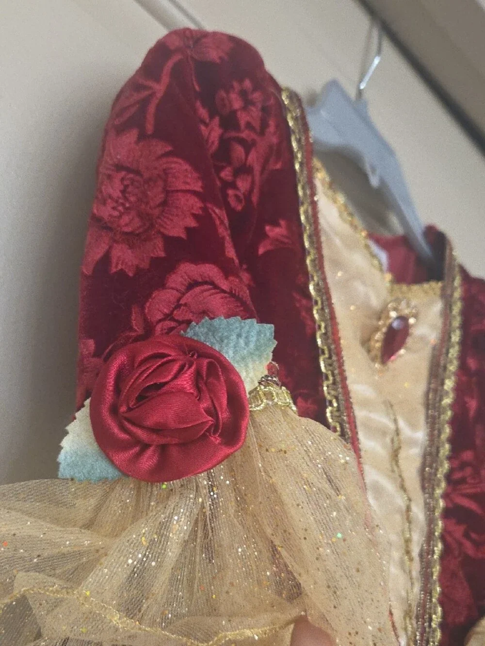 Disney Burgundy and Gold Princess Gown Costume
